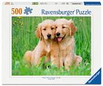 The Golden Retriever Brothers 500  (ETA Unknown)