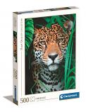 Jaguar In The Jungle