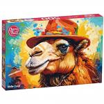 Mister Camel