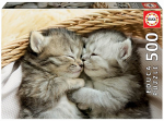 Sweet Kittens