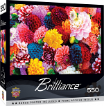 Brilliance - Beautiful Blooms
