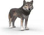 American Wolf