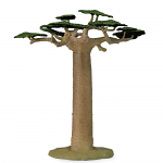 Baobab Tree 35cm
