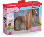 Beauty Horse English Thoroughbred Mare
