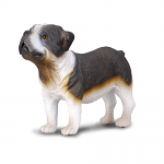 Bulldog