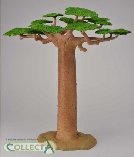 Baobab Tree 35cm