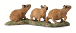Capybara Babies
