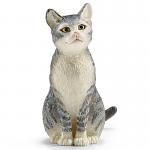 Cat Sitting