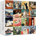 Cat's Daily Life