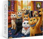 Cats In The Lens