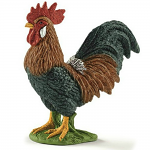 Colourful Rooster