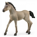 Criollo Definitivo Foal