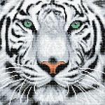 Craft Buddy Crystal Art 30cm x 30cm Canvas - White Tiger