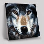 Craft Buddy Crystal Art 30cm x 30cm Canvas - Wolf