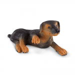 Doberman Pinscher Pup