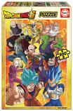 Dragonball Super (1)