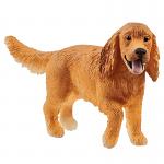 English Cocker Spaniel