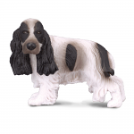 English Cocker Spaniel