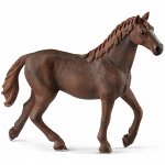 English Thoroughbred Mare