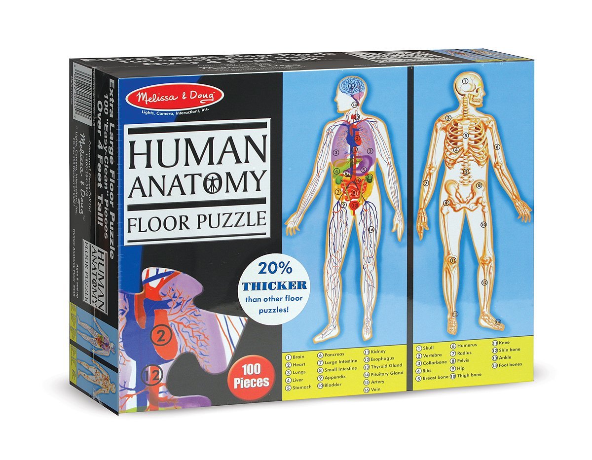 Floor Puzzle - Human Anatomy