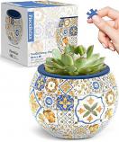 Flowerpot - Retro Tiles