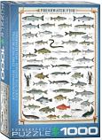 Freshwater Fish