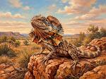 Frill Necked Lizard