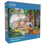 New Forest Ponies 