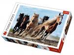 Galloping Horses (1)