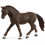 German Riding Pony Gelding