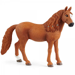 German Riding Pony Mare