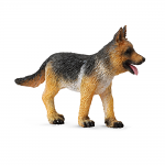 German Shepherd Pup