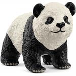 Giant Panda Cub