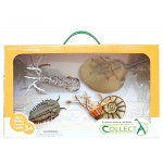 Gift Set - Prehistoric Sea Animals Pack B