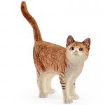 Ginger Cat