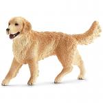 Golden Retriever Female