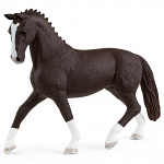 Hanoverian Mare Black