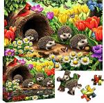 Hedgehogs Paradise