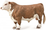 Hereford Bull