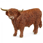 Highland Bull