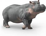 Hippopotamus