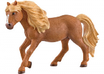 Icelandic Pony Stallion 13943
