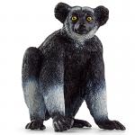 Indri