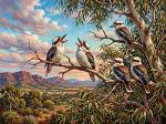 Kookaburras In The Gums