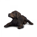 Labrador Retriever Pup