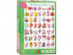 Language Of Flowers