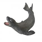 Leopard Seal