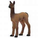 Llama Foal