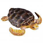 LoggerheadTurtle