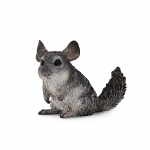 Long Tailed Chinchilla